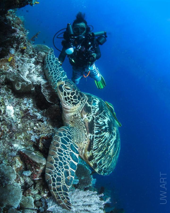 Apo Vista Apartments Diving Room Zamboanguita  Exteriör bild