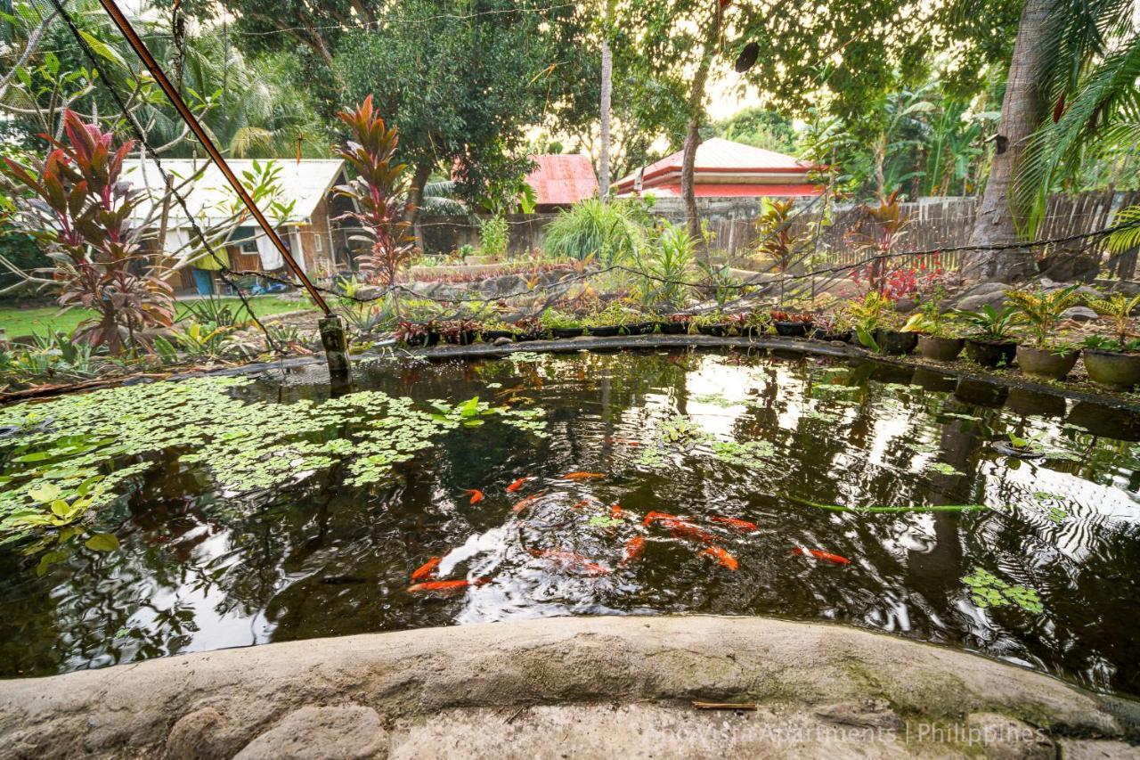 Apo Vista Apartments Diving Room Zamboanguita  Exteriör bild